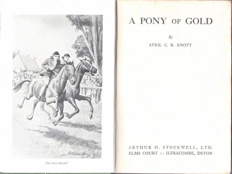 A Pony of Gold by Avril Knot